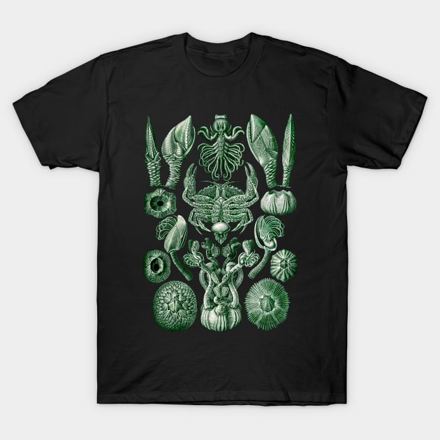 Ernst  Haeckel Cirripedia Crab Green T-Shirt by Scientistudio